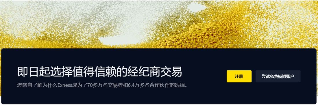 Exness Pro Account (Figure 1) 