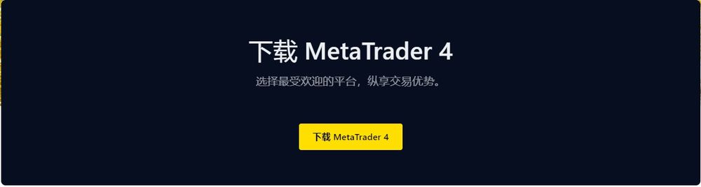 MetaTrader 4(图4)